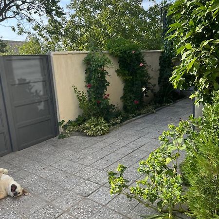 Cozy Space In טביליסי מראה חיצוני תמונה