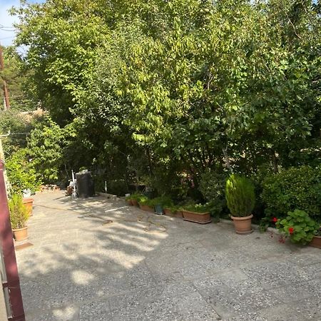 Cozy Space In טביליסי מראה חיצוני תמונה