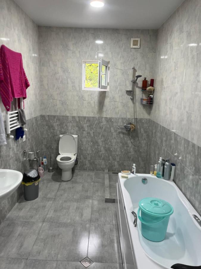 Cozy Space In טביליסי מראה חיצוני תמונה