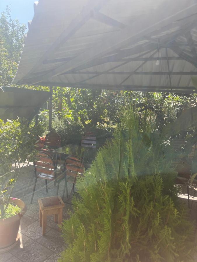 Cozy Space In טביליסי מראה חיצוני תמונה