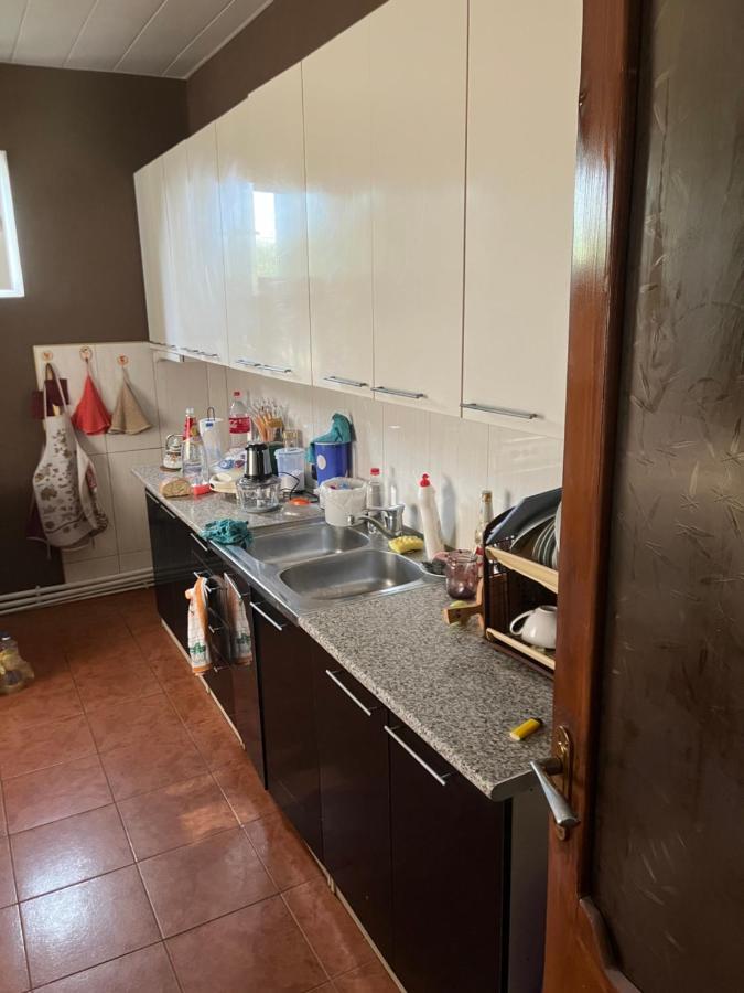 Cozy Space In טביליסי מראה חיצוני תמונה