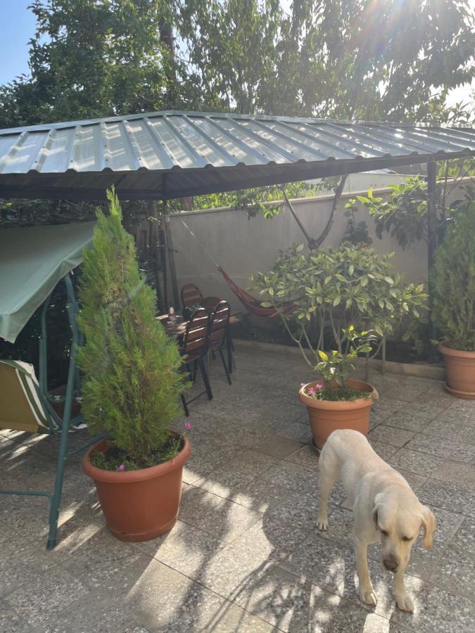 Cozy Space In טביליסי מראה חיצוני תמונה