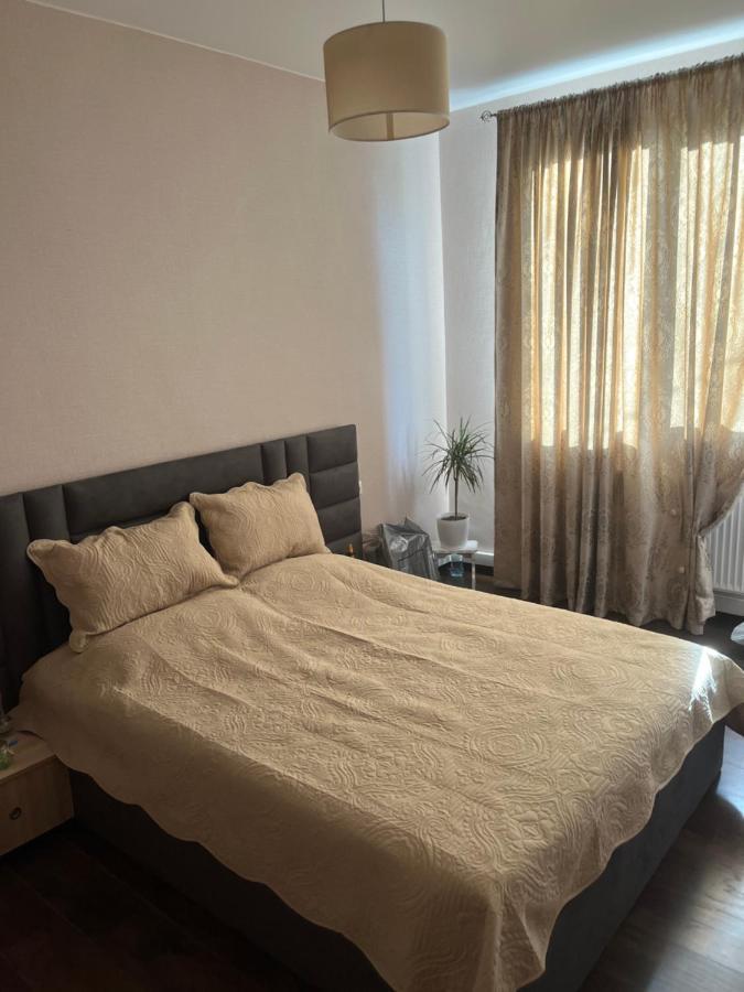 Cozy Space In טביליסי מראה חיצוני תמונה